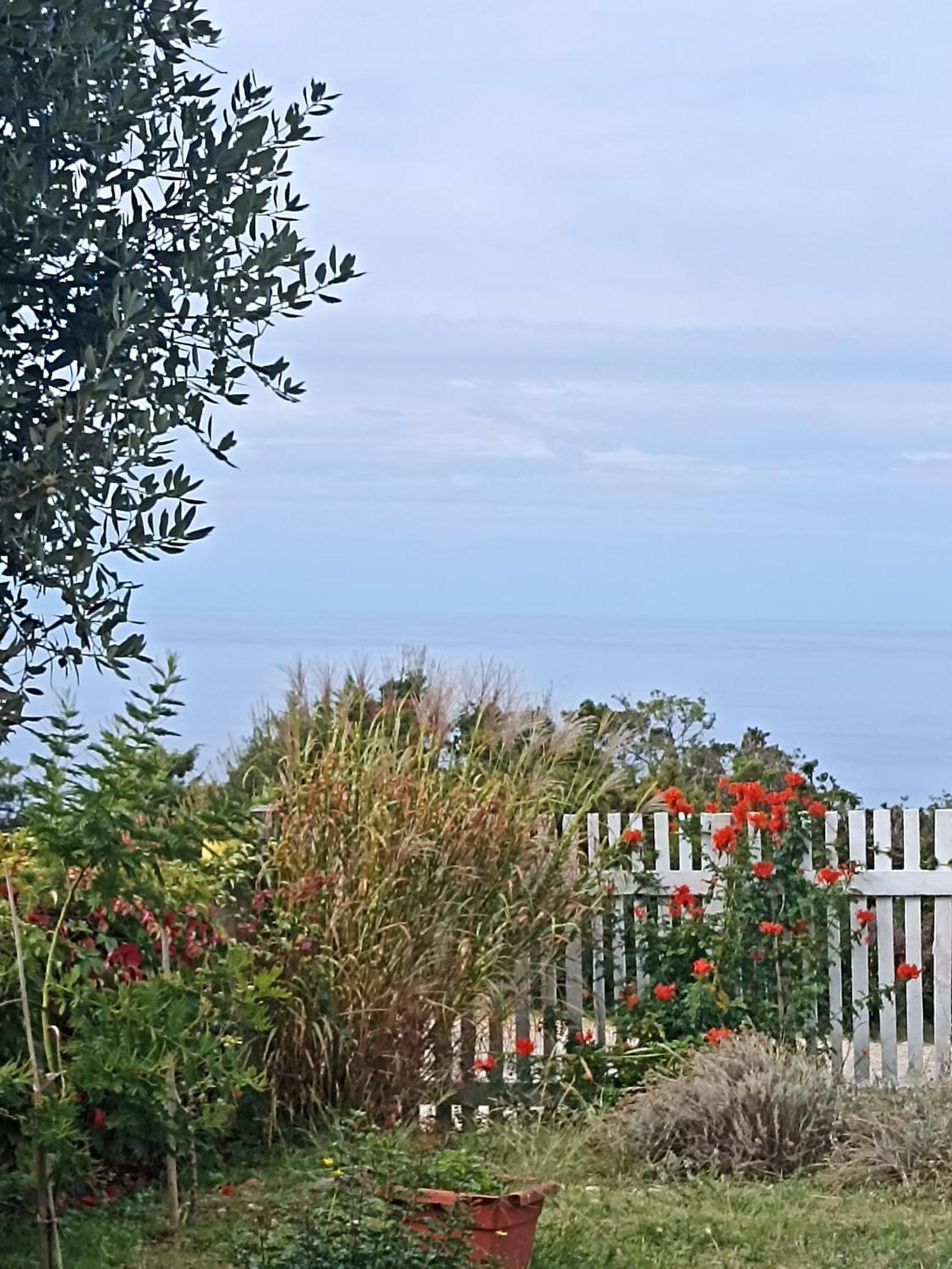 App Bonic Apartment Veli Losinj Exterior photo